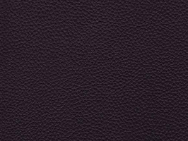 Leather Upholstery 厚面皮革系列 皮革 沙發皮革 6619 黑咖啡